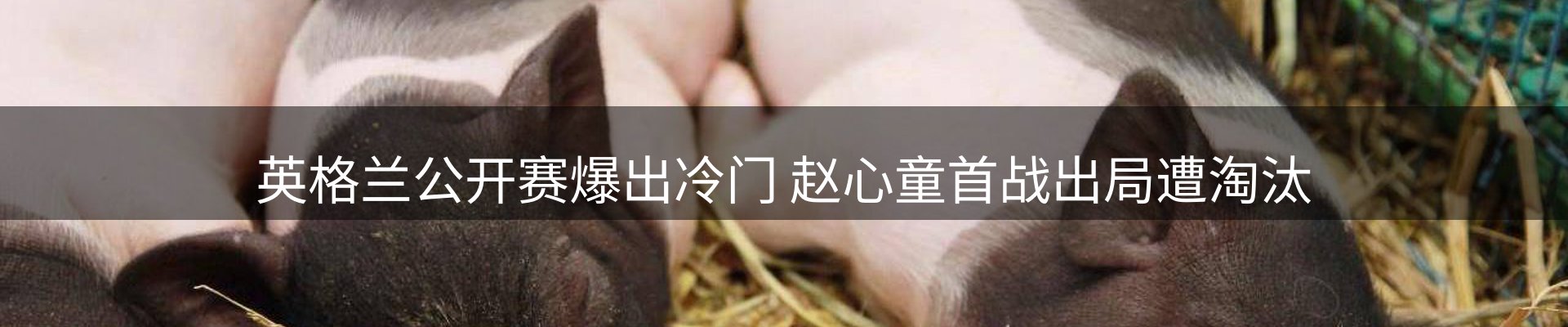 每日简报